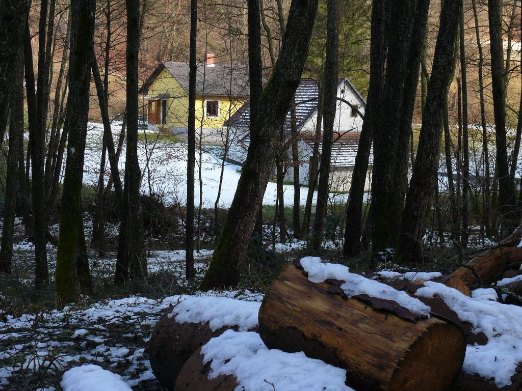 Ferienhaus Dreilaendereck Villa Minihof Liebau Exterior photo